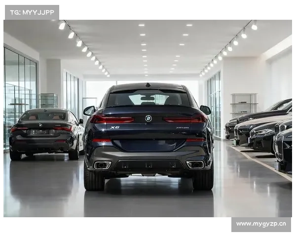 全新宝马X6带有道路交通标识识别和疲劳驾驶提示功能